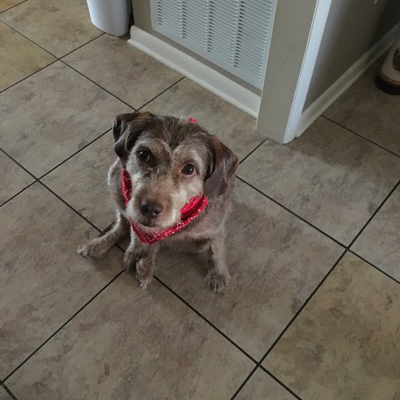 Meet your Posher, Kornelia - Picture 1 of 1